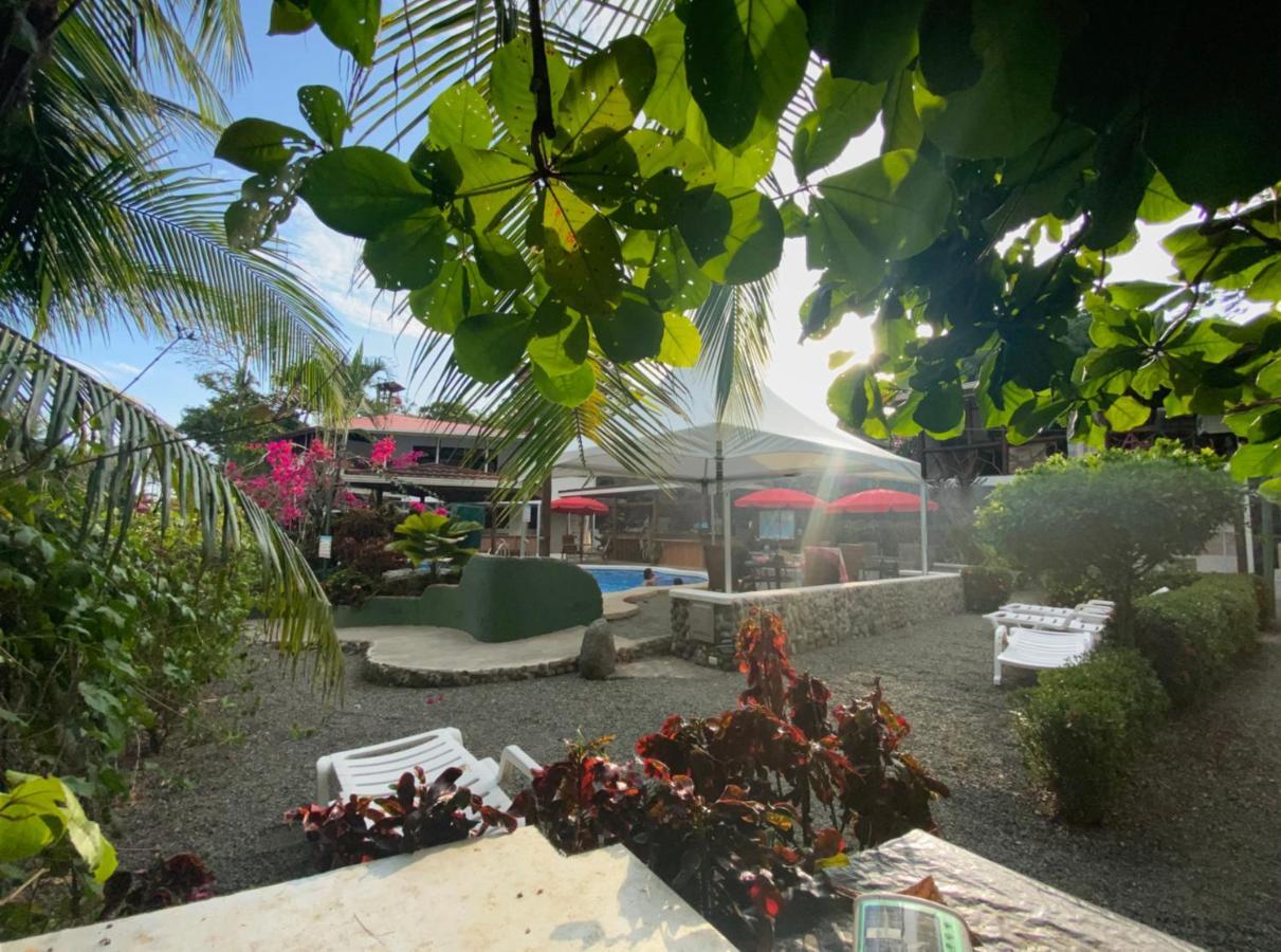 Casa Aba Matapalo Hotel Ngoại thất bức ảnh